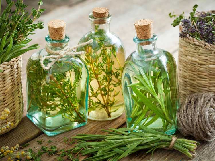 You are currently viewing Recettes de vinaigre aux herbes – Comment infuser du vinaigre avec des herbes