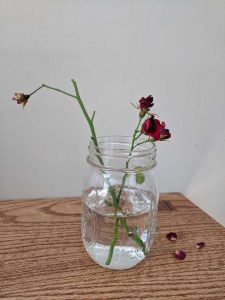 Lire la suite à propos de l’article Propagation de l'eau de rose : découvrez l'enracinement des roses dans l'eau