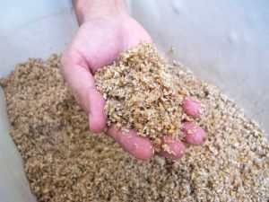 Lire la suite à propos de l’article Informations sur le compostage à domicile – Pouvez-vous composter les céréales usées
