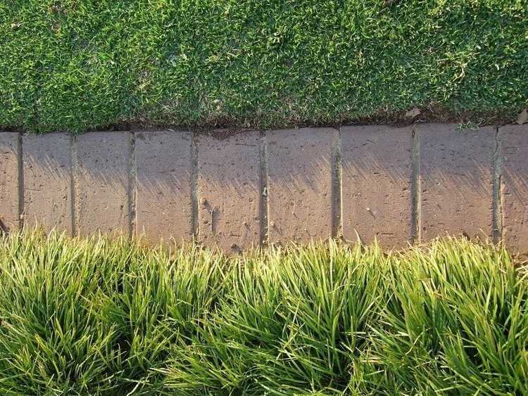 Lire la suite à propos de l’article Conseils pour choisir une bordure de pelouse