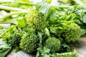 Lire la suite à propos de l’article Entretien du brocolito en pot : comment faire pousser du brocoli-rave dans des conteneurs