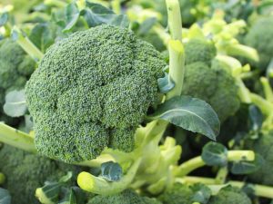 Lire la suite à propos de l’article Qu'est-ce que le brocoli Belstar : comment prendre soin de la variété de brocoli Belstar