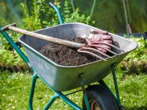 Lire la suite à propos de l’article Qu'est-ce qu'une matière organique : exemples de matières organiques pour le jardinage