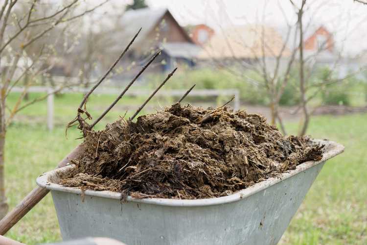 Lire la suite à propos de l’article Les avantages du compost de fumier dans votre jardin