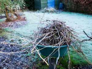 Lire la suite à propos de l’article Conseils de jardinage de fin d’hiver : entretien du jardin de fin d’hiver