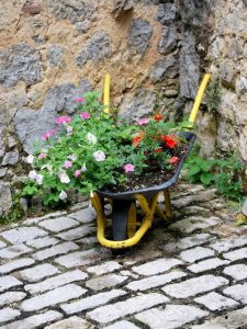Lire la suite à propos de l’article Conteneurs mobiles – Utiliser des jardinières qui bougent