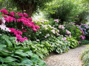 Lire la suite à propos de l’article Compagnons des azalées et des rhododendrons : que planter avec des buissons de rhododendrons