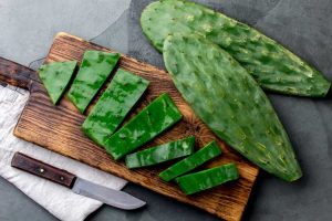 Lire la suite à propos de l’article Les plantes de cactus sont-elles comestibles – En savoir plus sur les types de cactus comestibles