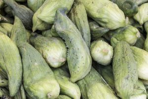 Lire la suite à propos de l’article Informations sur la plante Caihua : Conseils pour cultiver des concombres farcis