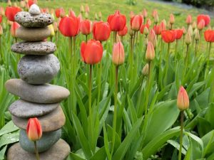 Lire la suite à propos de l’article Art du jardin de cairns : comment créer un cairn rocheux pour le jardin