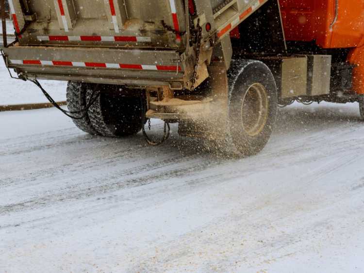 You are currently viewing Dégâts causés par le sel en hiver : conseils pour réparer les dommages causés par le sel en hiver sur les plantes