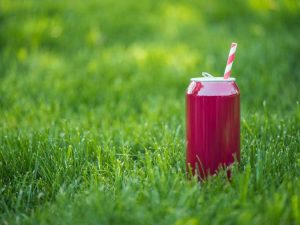 Lire la suite à propos de l’article Le soda pop est-il un engrais : informations sur le versement de soda sur les plantes