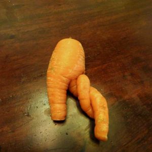 Lire la suite à propos de l’article Carottes déformées : raisons des carottes déformées et comment réparer une déformation de la carotte