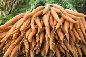 Lire la suite à propos de l’article Informations sur les carottes Imperator – Comment faire pousser des carottes Imperator