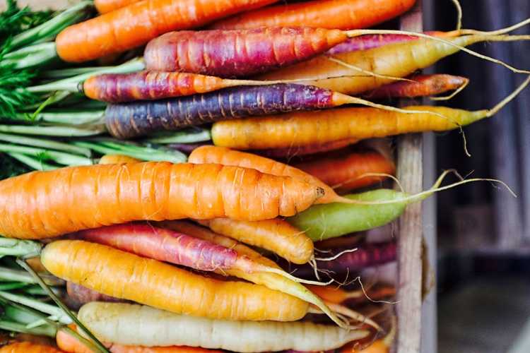 You are currently viewing Différentes carottes à cultiver – Quelles sont les variétés de carottes populaires