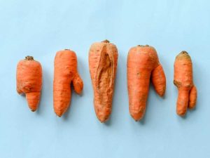 Lire la suite à propos de l’article Pourquoi les carottes craquent : conseils pour éviter les fissures dans les carottes