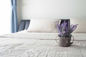 Lire la suite à propos de l’article Plantes utiles au coucher – Comment les plantes aident-elles à résoudre les problèmes de sommeil