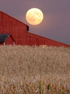 Lire la suite à propos de l’article Faits sur la lune des récoltes – Qu'est-ce que la lune des récoltes