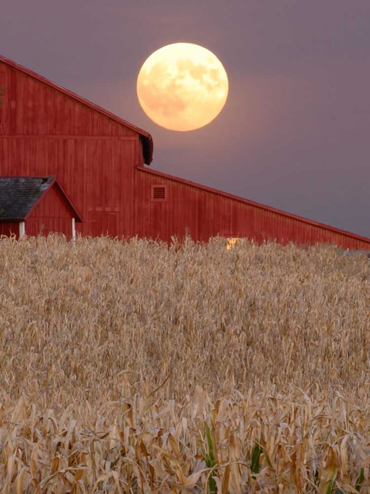 You are currently viewing Faits sur la lune des récoltes – Qu'est-ce que la lune des récoltes