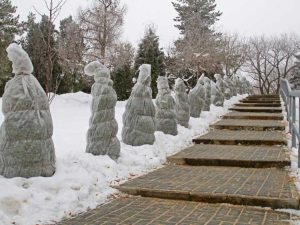 Lire la suite à propos de l’article Informations sur la façon de protéger les plantes d’extérieur en hiver