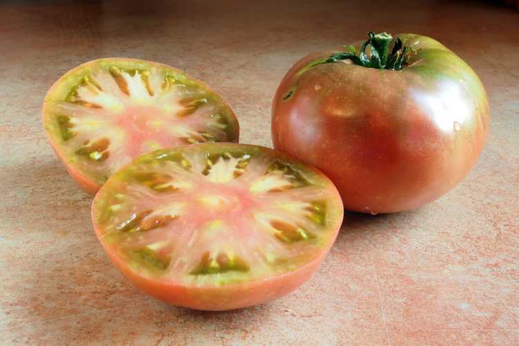 Lire la suite à propos de l’article Informations sur la tomate violette Cherokee – Comment faire pousser un plant de tomate violette Cherokee