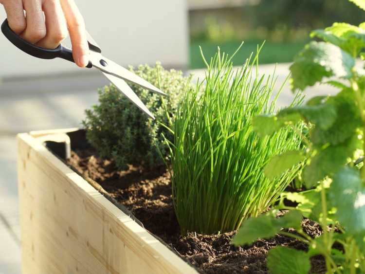 Lire la suite à propos de l’article Lit surélevé sur un balcon – Création d’un jardin d’appartement surélevé