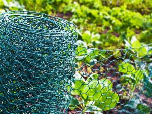 Lire la suite à propos de l’article Idées de clôtures de potager bricolage