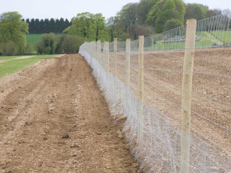 Lire la suite à propos de l’article Conceptions de clôtures pour cerfs – Comment construire une clôture à l’épreuve des cerfs