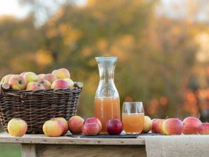 Lire la suite à propos de l’article Comment faire du cidre de pomme à partir de pommes cultivées sur place