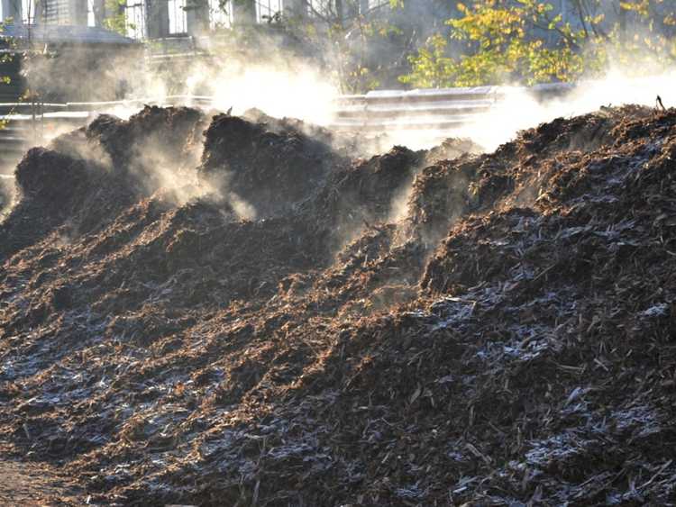 Lire la suite à propos de l’article Mon compost est trop chaud : que faire en cas de tas de compost surchauffés