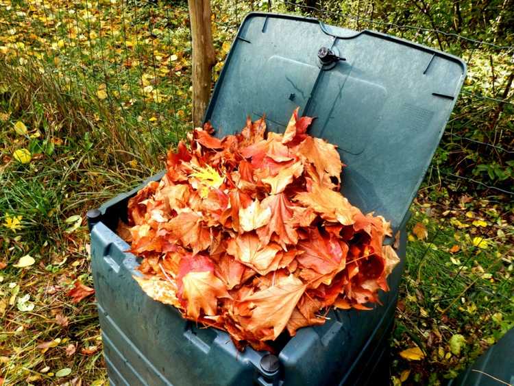 You are currently viewing Compostage de feuilles dans le jardin : découvrez les avantages du compost de feuilles