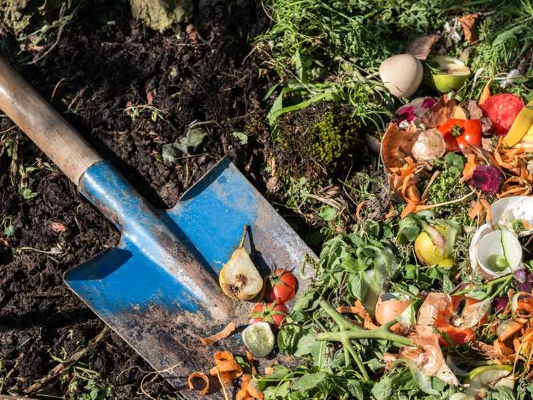 Lire la suite à propos de l’article Techniques et conseils de compostage dans le jardin