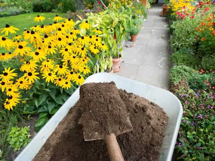 Lire la suite à propos de l’article Comment ajouter du compost aux plates-bandes établies