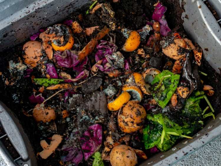 Lire la suite à propos de l’article Le compost sent mauvais : comment réparer un compost qui sent mauvais