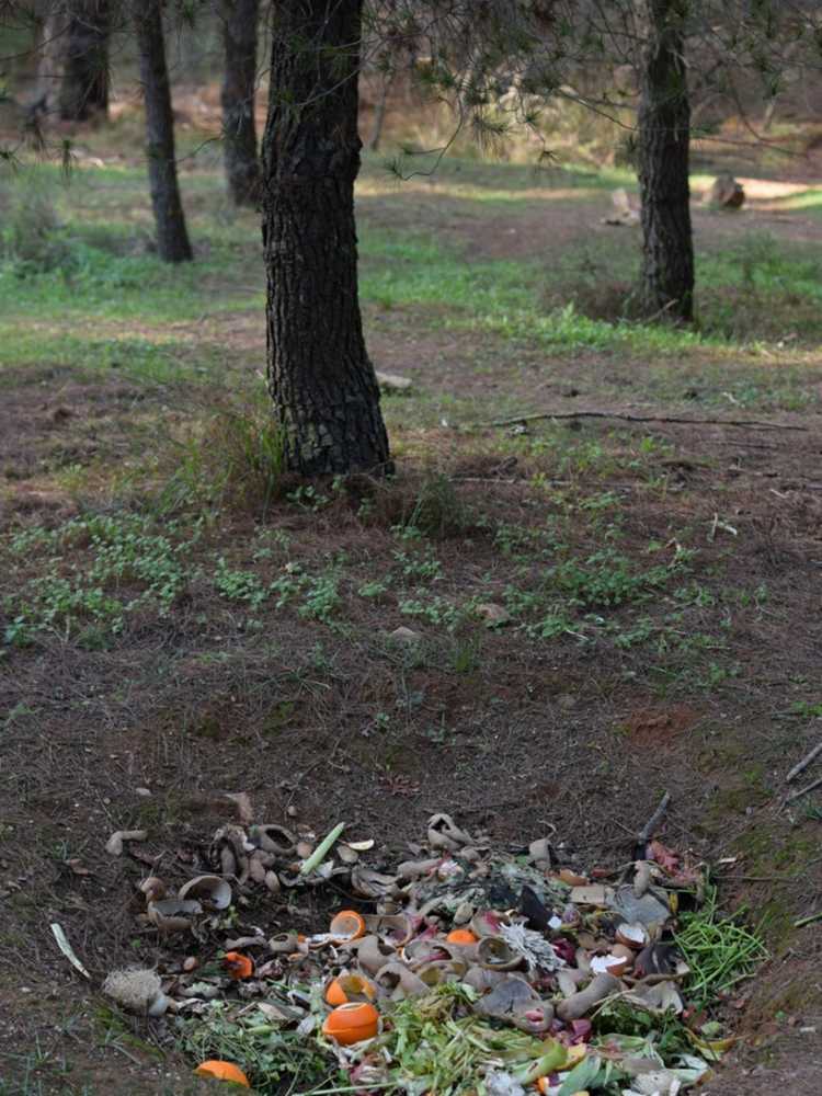 Lire la suite à propos de l’article Compostage en fosse dans les jardins : pouvez-vous creuser des trous dans le jardin pour les restes de nourriture