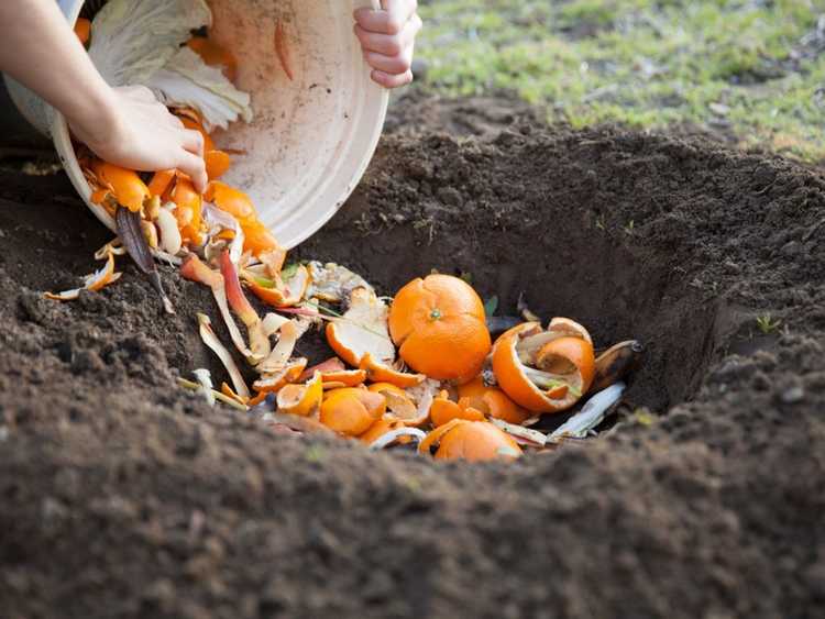 Lire la suite à propos de l’article Comment faire du compost dans le sol