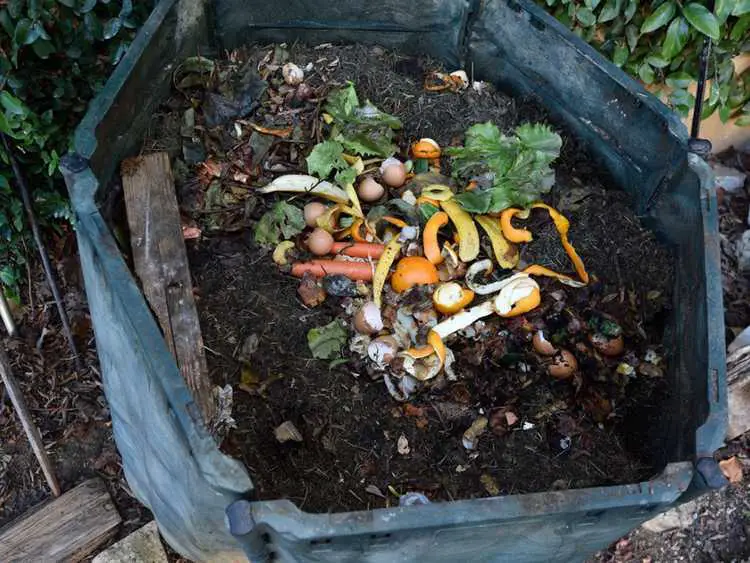 Lire la suite à propos de l’article Utiliser du compost dans les jardins – Quelle quantité de compost est suffisante