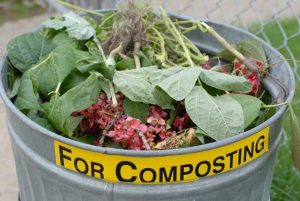 Lire la suite à propos de l’article Découvrez les moyens rapides de composter : conseils pour rendre le compost plus rapide