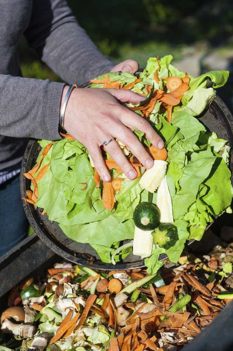 Lire la suite à propos de l’article Jardinage avec compost : fabriquer du compost pour votre jardin biologique