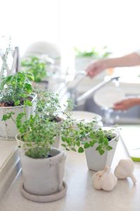 Lire la suite à propos de l’article Idées de jardin avec comptoir : apprenez à créer un jardin avec comptoir