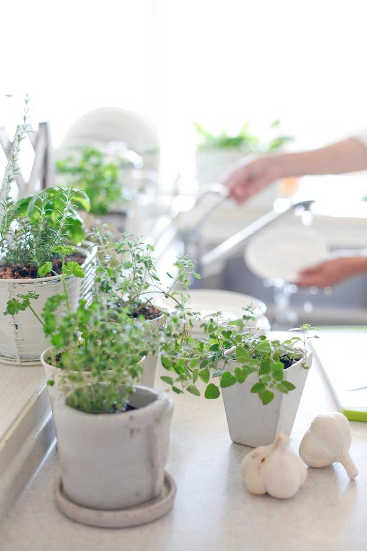 You are currently viewing Idées de jardin avec comptoir : apprenez à créer un jardin avec comptoir