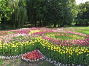 Lire la suite à propos de l’article Conception de la forme du jardin : conseils pour façonner le jardin