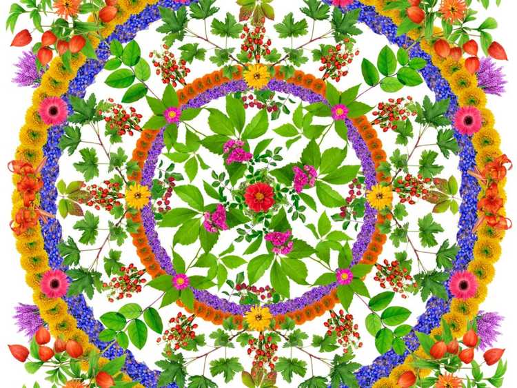 You are currently viewing Jardins de mandala DIY – En savoir plus sur la conception de jardins de mandala