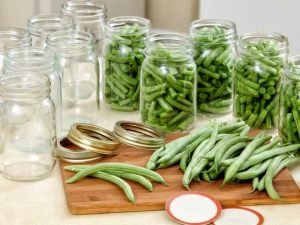 Lire la suite à propos de l’article Comment conserver les haricots verts du jardin