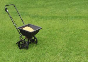 Lire la suite à propos de l’article Engrais pour pelouses – Quel type d’engrais pour pelouse utiliser