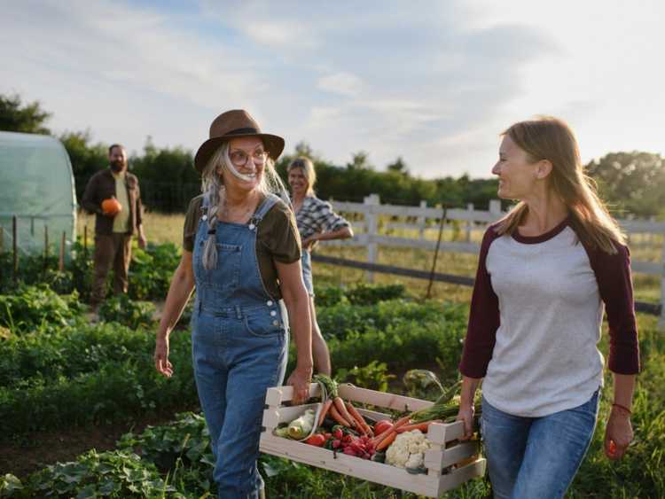 Lire la suite à propos de l’article Comment créer une communauté en créant un jardin