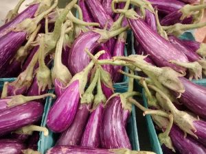 Lire la suite à propos de l’article Variété d'aubergine « Conte de fées » – Qu'est-ce qu'une aubergine de conte de fées