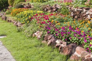 Lire la suite à propos de l’article Planter des fleurs pour repousser les mauvaises herbes : utiliser des fleurs pour éloigner les mauvaises herbes