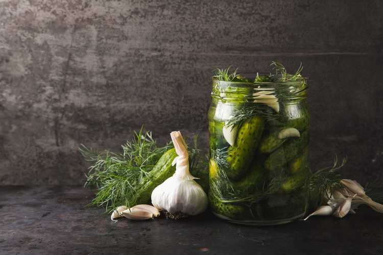 You are currently viewing Herbes et épices pour les cornichons – Quelles épices et herbes contiennent les cornichons ?