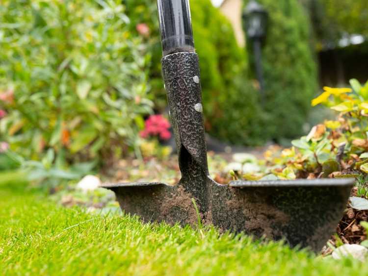 Lire la suite à propos de l’article Coupe-bordures pour le jardin : Apprenez à utiliser un coupe-bordure de jardin